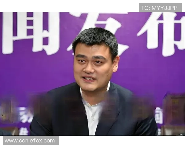 阿拉与姚明的传奇故事：从篮球场到文化交流的深度探索