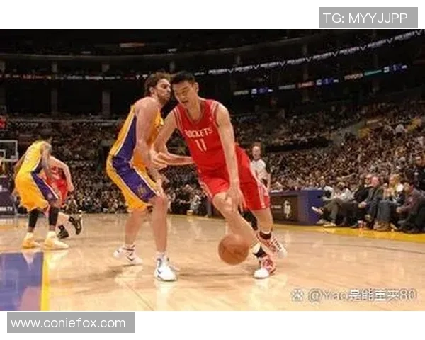 姚明篮球乐园：探索篮球的魅力与梦想，开启属于你的篮球之旅