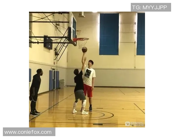 姚明邀请好友共聚火锅盛宴畅谈篮球梦想与人生哲学