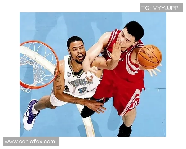 月亮岛姚明的传奇旅程与篮球梦想的交织探索