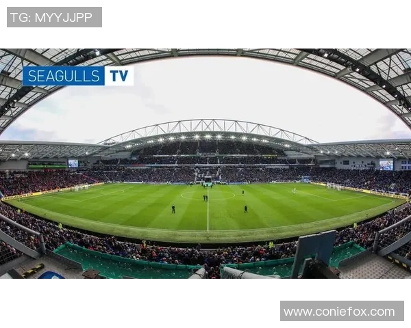 中超精彩对决那不勒斯绝杀热刺全场沸腾瞬间回顾与分析